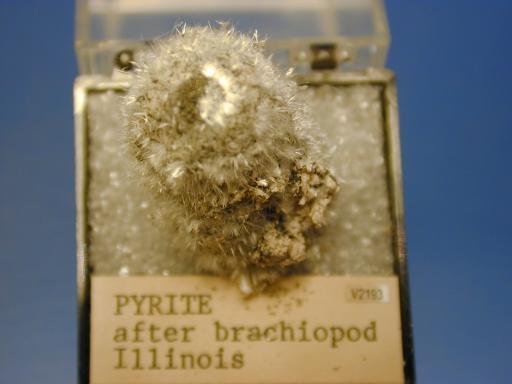 Pyrite image.