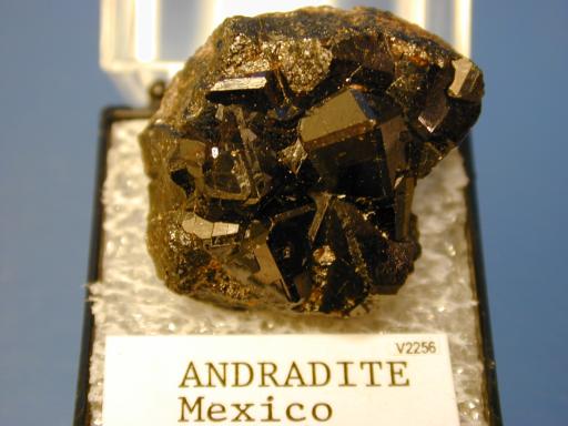 Garnet image.