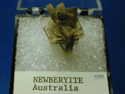 Newberyite image.