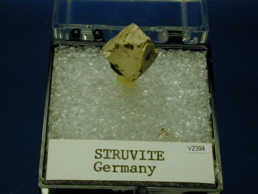 Struvite image.