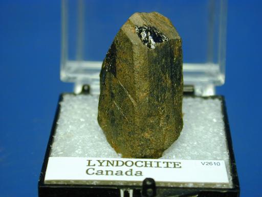 Lyndochite image.