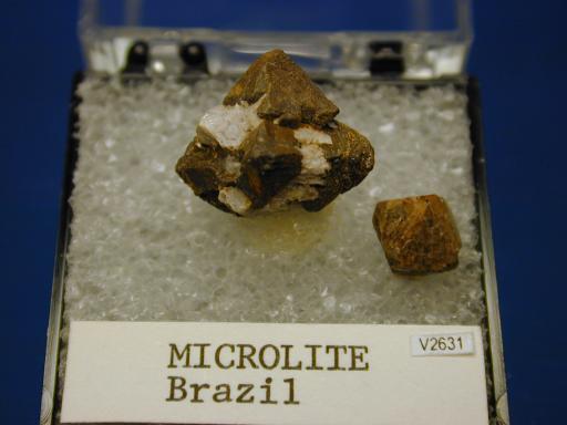 Microlite image.