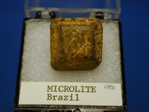 Microlite image.