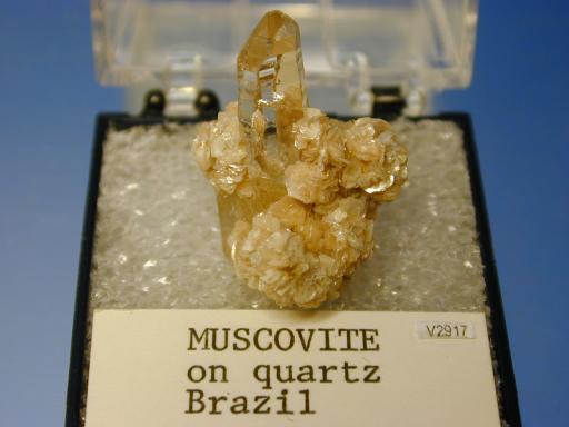 Muscovite image.