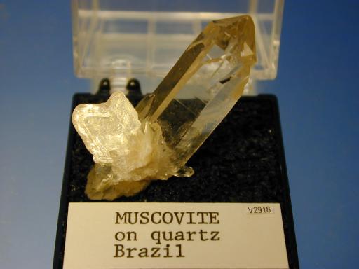 Muscovite image.