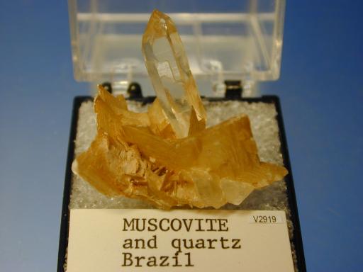Muscovite image.