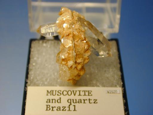 Muscovite image.