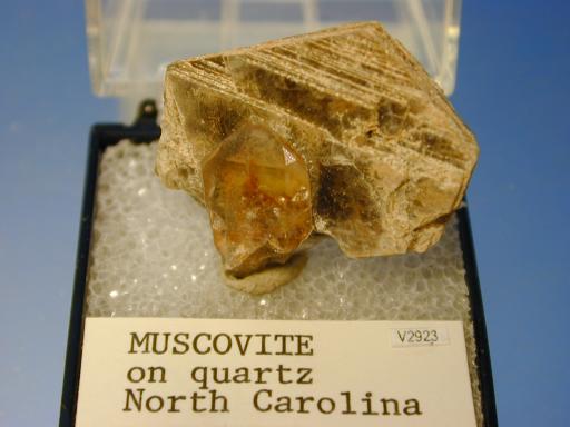 Muscovite image.