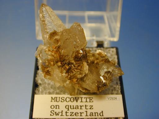Muscovite image.