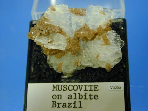 Muscovite image.