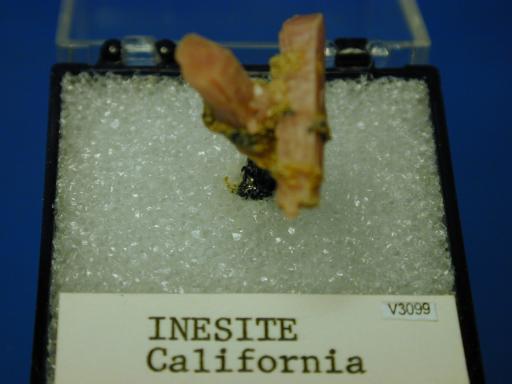 Inesite image.