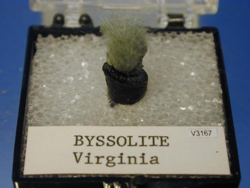 Byssolite image.
