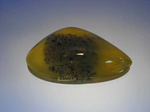 Opal image.
