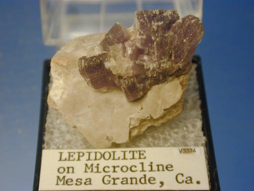 Lepidolite image.