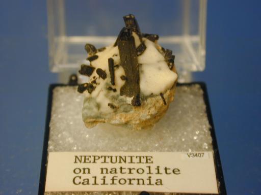 Neptunite image.