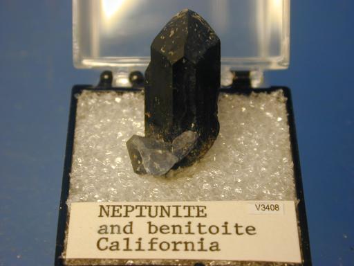Neptunite image.