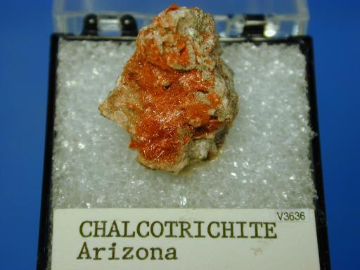 Chalcotrichite image.