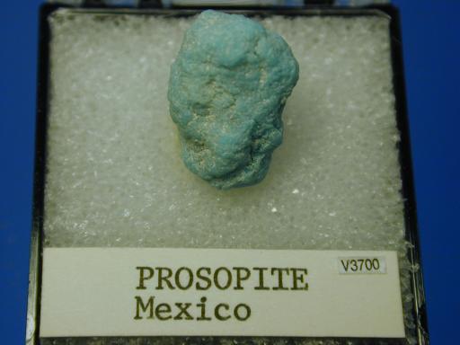 Prosopite image.