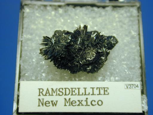 Ramsdellite image.