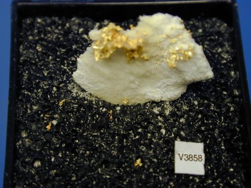 Gold image.