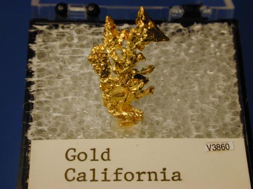 Gold image.