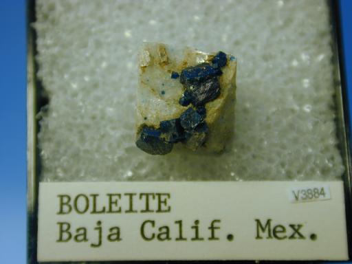 Boleite image.