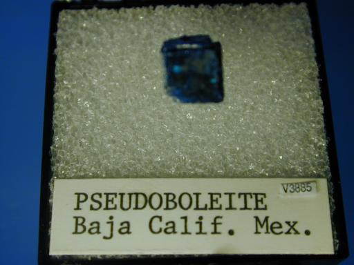 Pseudoboleite image.