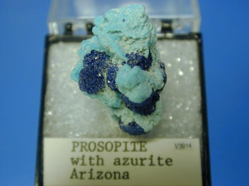 Prosopite image.