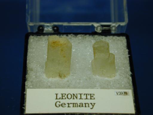 Leonite image.