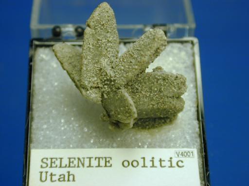 Gypsum image.