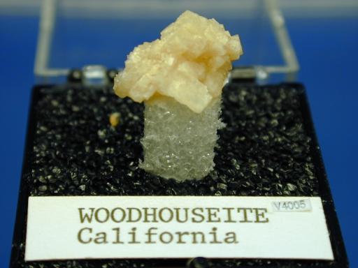 Woodhouseite image.