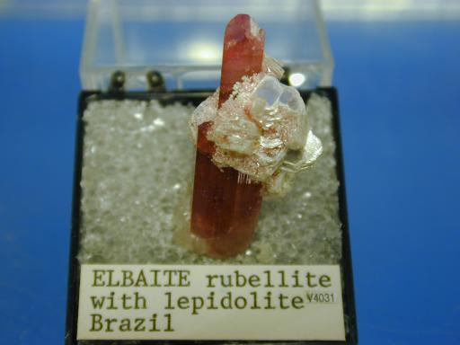 Tourmaline image.