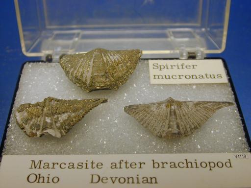 Marcasite image.