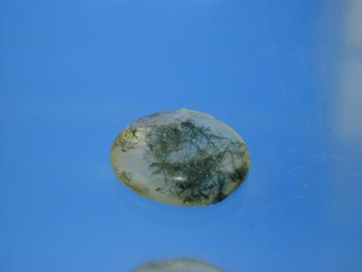 Quartz image.