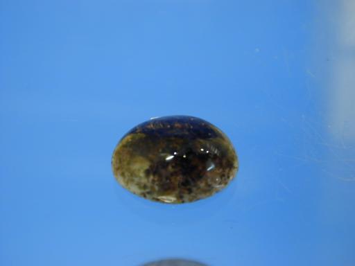 Quartz image.