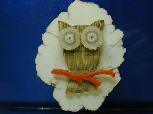 Howlite image.