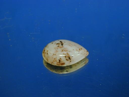 Datolite image.