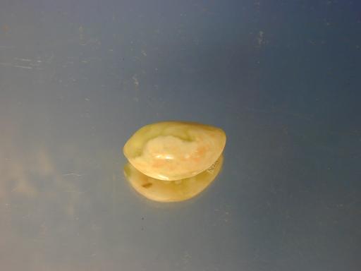 Serpentine image.