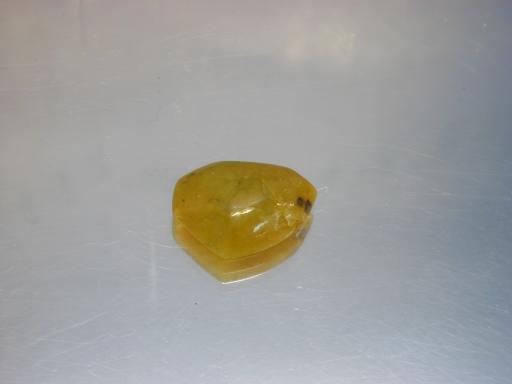 Serpentine image.