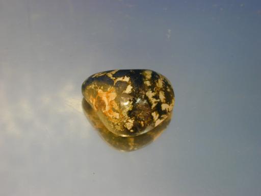 Serpentine image.