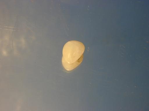 Brucite image.