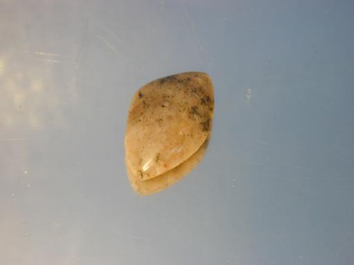 Nepheline image.