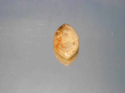 Chalcedony image.