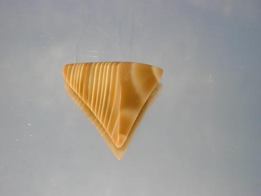 Quartz image.