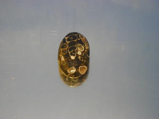Chalcedony image.