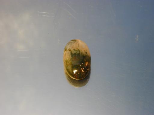 Chalcedony image.