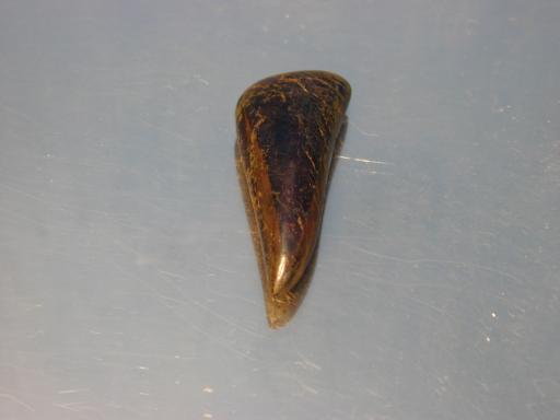 Covellite image.