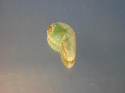 Hemimorphite image.