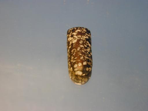 Mohawkite image.