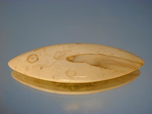 Chalcedony image.